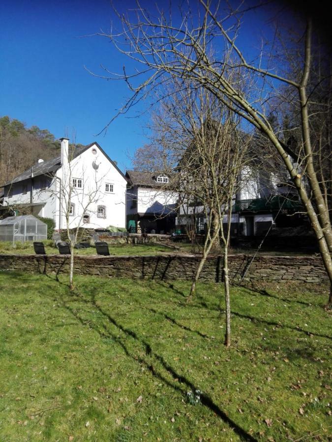 Muhle Braun Das Backhaus Apartamento Sankt Goarshausen Exterior foto